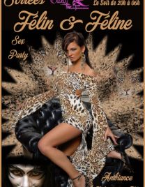 FÉLIN & FÉLINE